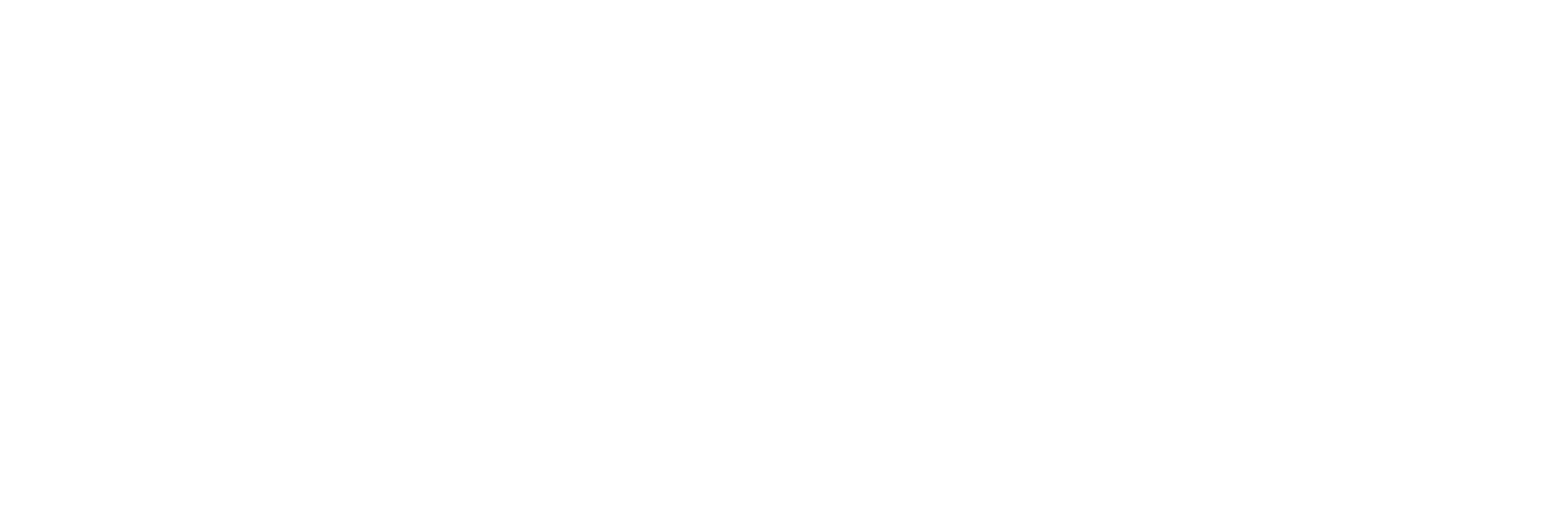 Lotus Assurance